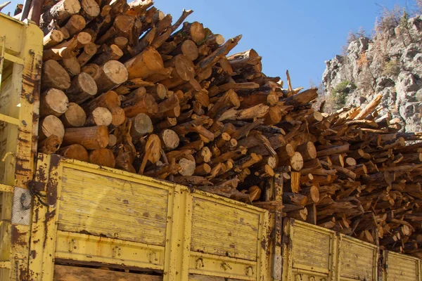 Teherautó Karosszéria Tűzifa Ágakkal Fatörzsekkel Feltöltve Szállításra Készen — Stock Fotó
