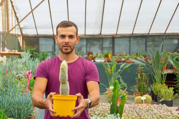 stock image The guy swarthy gardener holds a pot with a fluffy hairy cactus grown in a greenhouse