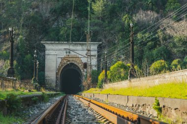 Eski demiryolu nemli bir ormanın çalılıklarında terk edilmiş bir tünelden geçiyor..