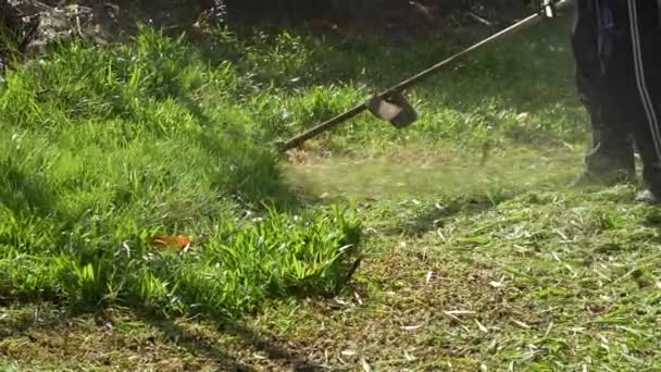 Садовник Использует Ручную Косилку Стрижки Травы — стоковое видео