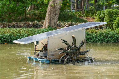 Şehir parkındaki havuzda Güneş Hücresi Paneli Paddle Wheel Aerator.