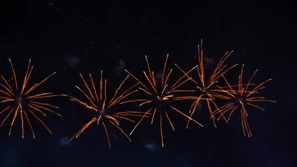欢乐假日烟火强烈的爆炸声在夜空中闪现 — 图库视频影像
