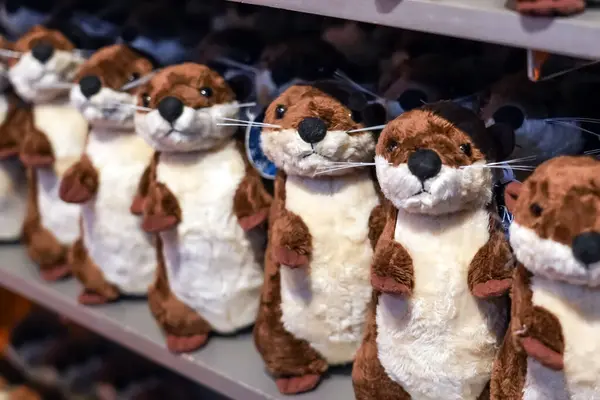 Many cute toy otters in the toy store.