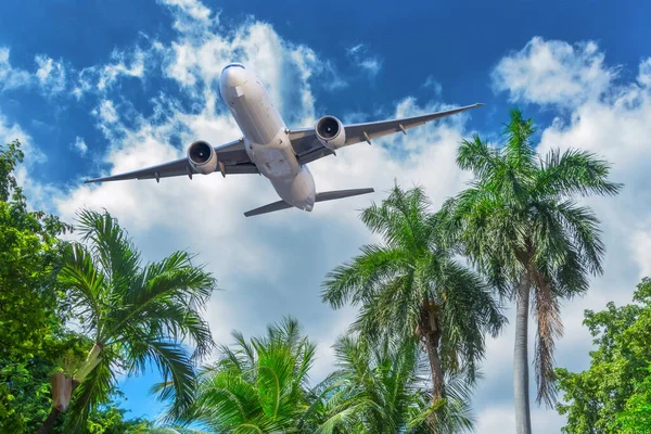 Airliner passenger jet aircraft take off over the tropical palm trees of an exotic island. Traveling to warm countries vacation trip