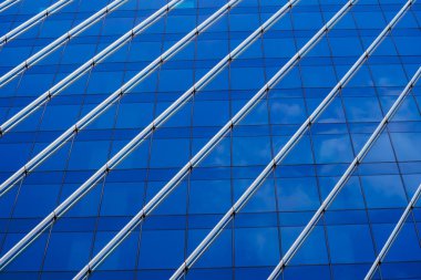 Doku pleksusu pencere gökdelenlerini örüyor