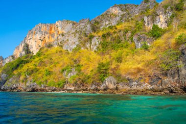 Turkuaz su ve panoramik manzaralı egzotik adalar.