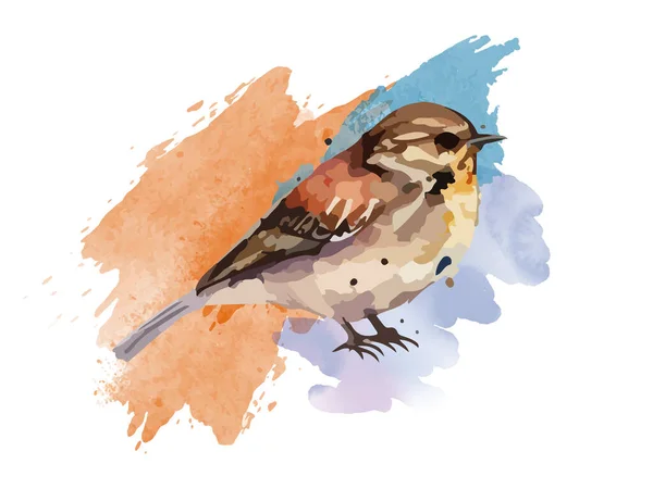 Watercolor Bird Sparrow Vector Illustration Realistic Hand Drawn Painting Branche — Stock Vector