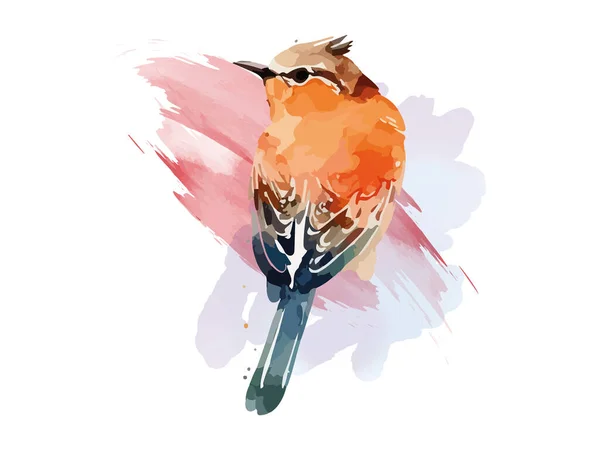 水彩鸟和麻雀矢量图解写实手绘画 枝条上 白色孤立背景 — 图库矢量图片
