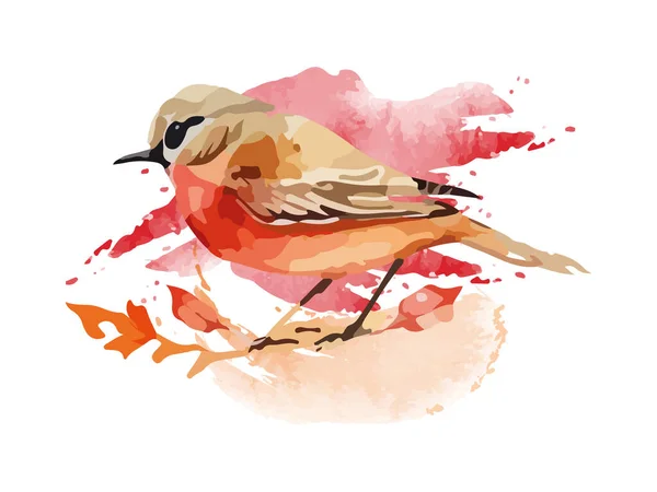 Acuarela Pájaro Gorrión Vector Ilustración Realista Dibujado Mano Pintura Ramificación — Vector de stock