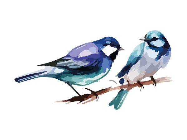 水彩鸟和麻雀矢量图解写实手绘画 枝条上 白色孤立背景 — 图库矢量图片