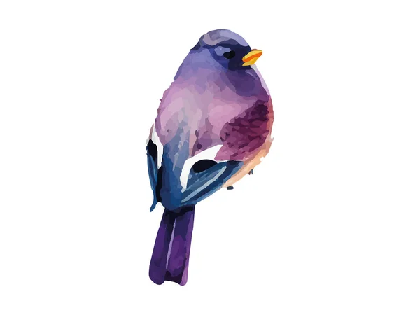 Acuarela Pájaro Gorrión Vector Ilustración Realista Dibujado Mano Pintura Ramificación — Archivo Imágenes Vectoriales