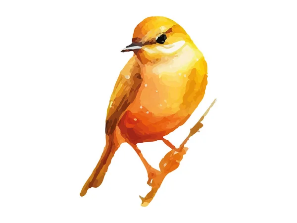 Acuarela Pájaro Gorrión Vector Ilustración Realista Dibujado Mano Pintura Ramificación — Archivo Imágenes Vectoriales