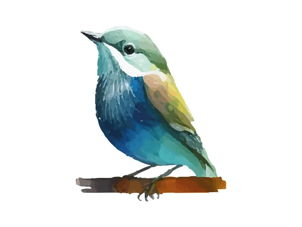 Watercolor Bird Sparrow Vector Illustration Realistic Hand Painting Branche White — 스톡 벡터