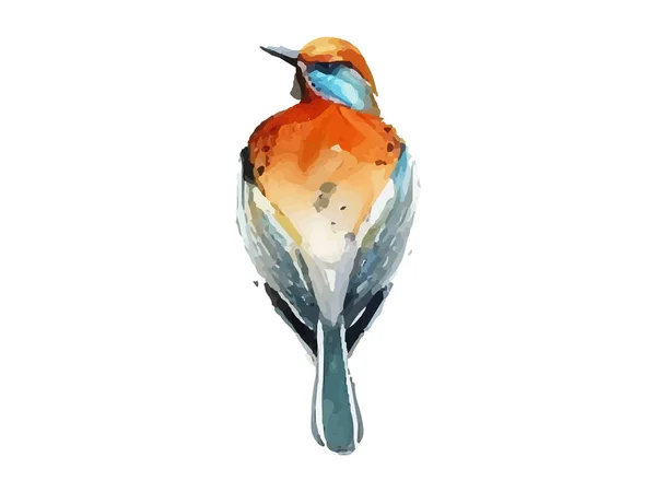 Aquarel Vogel Mus Vector Illustratie Realistisch Met Hand Getekend Schilderen — Stockvector