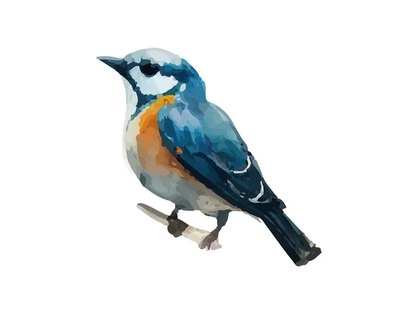 Pássaro Aquarela Pardal Vetor Ilustração Realista Mão Desenhada Pintura Branche —  Vetores de Stock