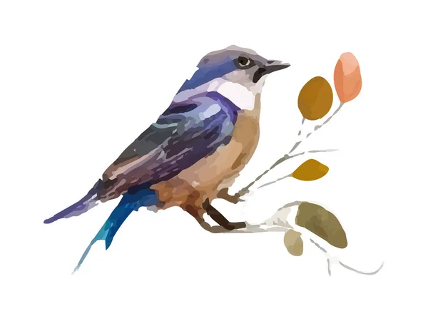 Acuarela Pájaro Gorrión Vector Ilustración Realista Dibujado Mano Pintura Ramas — Archivo Imágenes Vectoriales