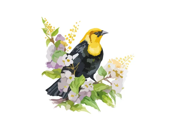Akvarell Sárga Fejű Skót Oriole Blackbird Vektor Illusztráció Realisztikus Kézzel — Stock Vector
