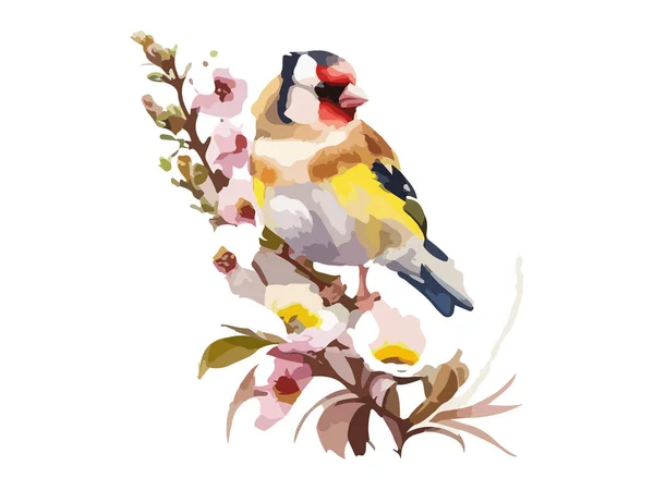 Watercolor Bird Sparrow Vector Illustration Realistic Hand Drawn Painting Branches — Stock Vector