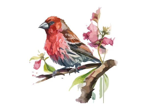 Watercolor Red Crossbill Bird Sparrow Vector Illustration Realistic Hand Drawn — Stock Vector