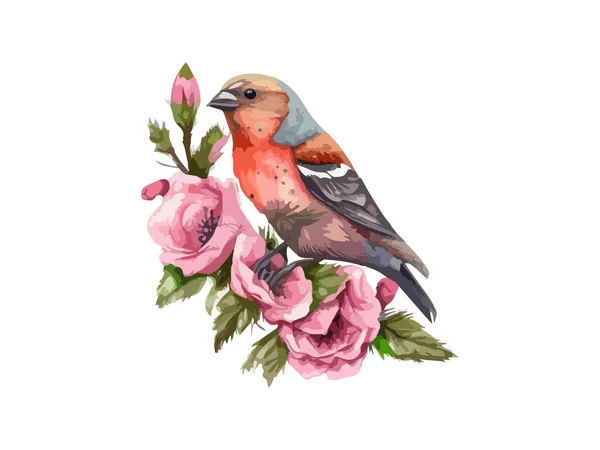 Aquarelle Moineau Oiseau Moineau Vecteur Illustration Peinture Réaliste Dessinée Main — Image vectorielle
