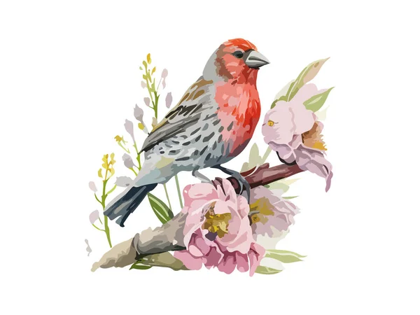 Watercolor Red Crossbill Bird Sparrow Vector Illustration Realistic Hand Drawn — Stock Vector