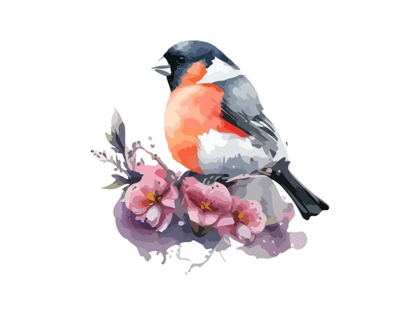 Υδατογραφία Πουλί Και Σπουργίτι Bullfinch Διανυσματική Απεικόνιση Ρεαλιστική Ζωγραφισμένα Στο — Διανυσματικό Αρχείο