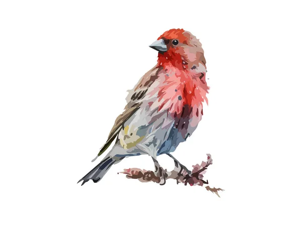 Akvarel Pták Vrabčí Vektor Ilustrace Realistické Ručně Kreslené Větvích Zdobené — Stockový vektor