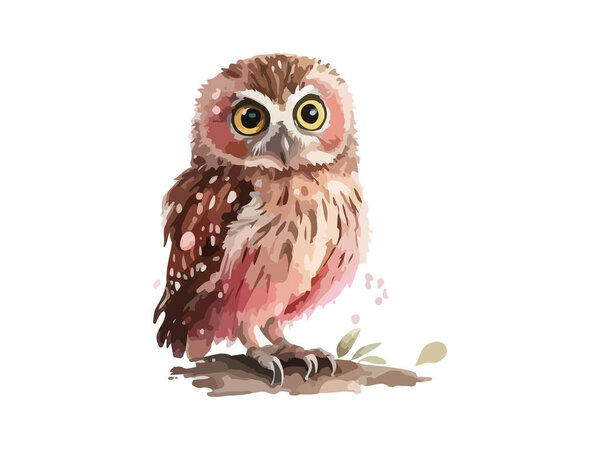 Watercolor owl painting, Bird animal owl vector illustration. 