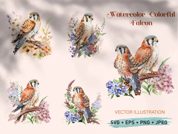 Akvarel Sokol Pták Vektorová Ilustrace Zdobené Květinami — Stockový vektor