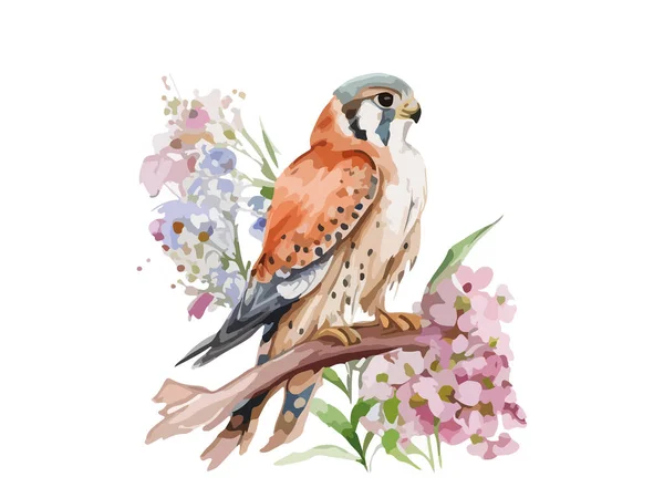 Pássaro Falcão Aquarela Ilustração Vetorial Decorada Por Flores —  Vetores de Stock