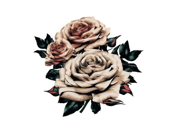 Bouquet Vintage Fleur Aquarelle Illustration Vectorielle Isolée Fond Blanc — Image vectorielle