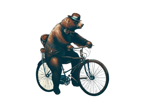 Αρκούδα Ιππασία Ποδήλατο Ανθικό Δρόμο Υπαίθρου Απομονωμένη Λευκό Φόντο — Διανυσματικό Αρχείο