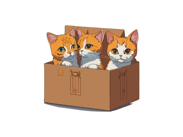Lindo Gato Vector Ilustración Caja Decorada Con Flores — Vector de stock