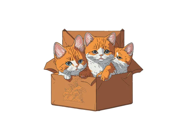 Cute Cat Vector Illustration Box Decorated Flowers — Stock Vector