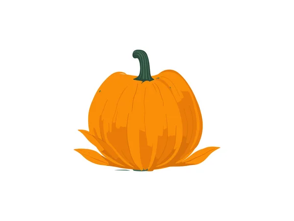 Hösten Halloween Skörd Pumpor Vektor Illustration — Stock vektor