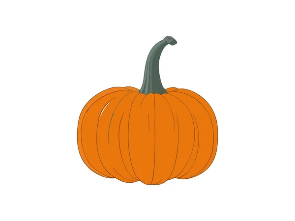Φθινόπωρο Halloween Harvest Κολοκύθες Vector Εικονογράφηση — Διανυσματικό Αρχείο