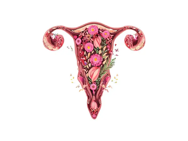 Mulher Útero Decorado Com Flores Mulher Vaginal Aquarela Botânica Feminista — Vetor de Stock