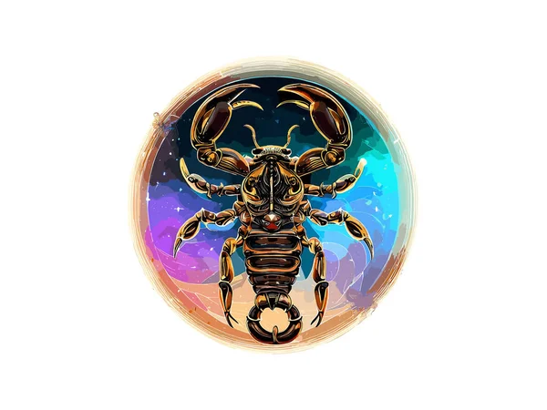 Scorpion Signes Zodiaque Astrologie Horoscope Ésotérique Constellations Luxary Golden Png — Image vectorielle