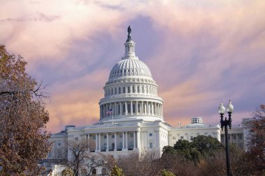 Washington DC 'deki Kongre Binası
