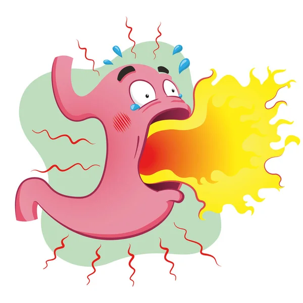 Stomach Mascot Heartburn Burning Anatomy Symptom Ideal Training Education Materials — Stock vektor