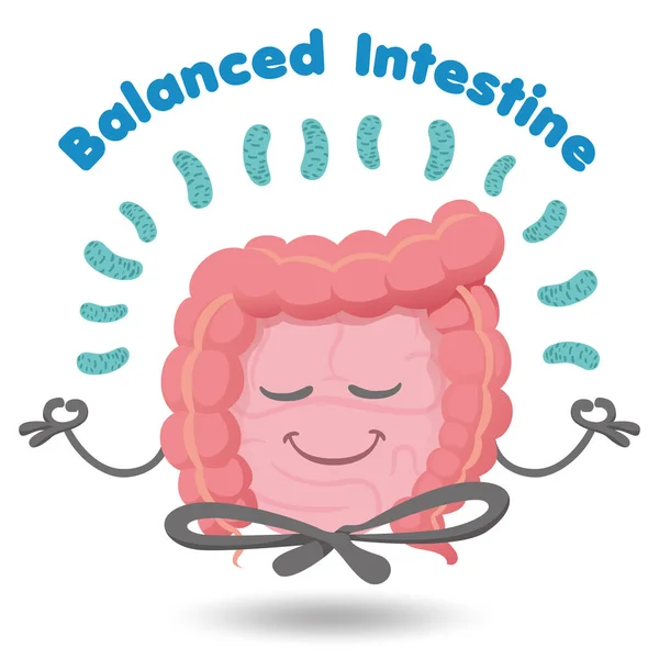 Human Organ Mascot Balanced Intestine Harmony Probiotics Ideal Training Educational ロイヤリティフリーのストックイラスト