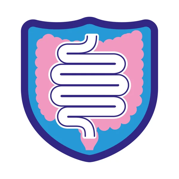 Pictogram Icon Representing Bowel Immunity Protection Digestive System Ideal Medical —  Vetores de Stock