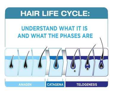 İllüzyon saçın yaşam döngüsünü temsil eder. Kurumsal ve eğitici materyaller için ideal