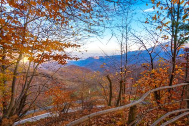 Orta Gölü çevreleyen tepeler üzerinde kahverengi ve turuncu yapraklar, Kuzey İtalya 'da küçük bir buzul gölü (Piedmont, Novara Eyaleti), UNESCO Bölgesi.