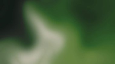 Soyut neon eğimli arkaplan. Sanal çoklu renk arkaplanı. Soyut renkli gradyan arkaplan. Modaya uygun yumuşak renk paleti. Modern Pürüzsüz hareket canlandırma arkaplanı