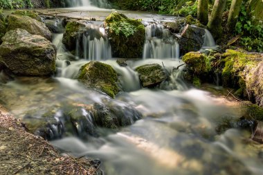 Akan suları, canlı yaprakları ve şelalesi olan sonbahar ormanı.