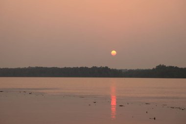 Sundarbans Bangladeş ve Hindistan arasında bulunan dünyanın en büyük doğal mangrov ormanıdır. Bu fotoğraf Bangladeş 'ten çekildi..