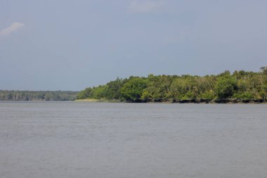 Sundarbans, Hindistan ve Bangladeş boyunca yaklaşık 10.200 kilometrekarelik bir alana sahip gel-git ormanı deltasıdır. Bu fotoğraf Bangladeş 'ten çekildi..