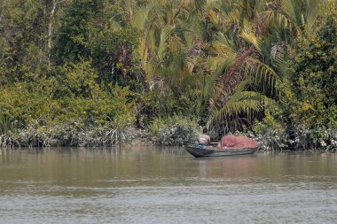 Sundarbans, Bangladeş 'te nehirde bir balıkçı teknesi..