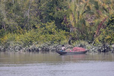 Sundarbans, Bangladeş 'te nehirde bir balıkçı teknesi..